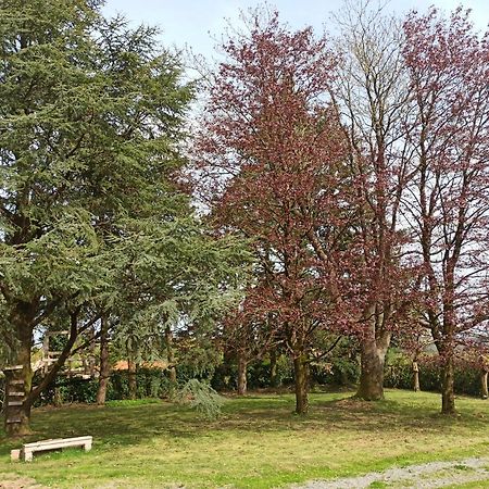 Chambre Privee A 10 Min Du Puy Du Fou Sevremont Zewnętrze zdjęcie